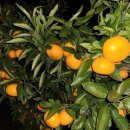 하례환승정류장 이미지