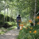 원주허브팜식물박물관 이미지