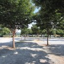 도레미캠핑장 이미지