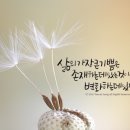 아리점핑체온다이어트