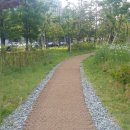 한국폴리텍 III 대학 원주캠퍼스 이미지