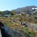 하천(금강2) 이미지