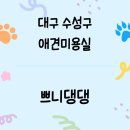 쁘니댕댕 이미지