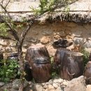 정지용생가 이미지