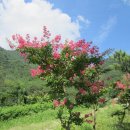 토월약수터 이미지