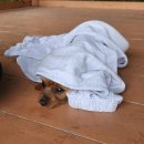 섬진강다무락마을 | 14)섬진강 자전거 종주길 다사다난 후기 세번째 배알도수변공원. feat.벼리