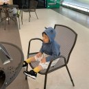 태기목장 | [강원도/평창] 아기랑 여행 평창 휘닉스파크(+평창한우마을 면온점, 블루캐니언까지)