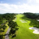 샌드파인 골프클럽 이미지