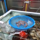 태산수산 이미지