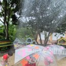 신나는강남어린이집 이미지