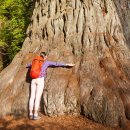 코어핸즈 이미지