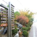 쌍화차거리 이미지