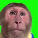 노을공원4 | [J 예비신부의 결혼 준비] 3탄_벨루어스튜디오 노을 공원 야외 스냅_계약 후기