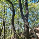 상촌우체국 이미지