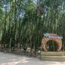 삼호웰빙 이미지