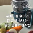 베이비플러스장암지점 | 최소노력 최대효율, 베이비무브 쿡마스터 플러스