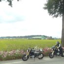 BMW R nineT ( 알나인티 ) 변산국립공원 투어 후기 [패닝샷]