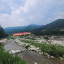 경포동주민센터 | 강릉시 최고의 여름휴가지 계곡펜션 매매합니다.