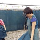 한솔경로당 이미지