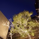 주식회사 비트윈 이미지