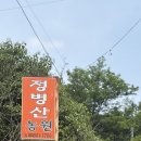 신식농원 | 창원 야장 맛집 정병산농원 등산후에먹는 막걸리에 파전
