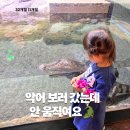 11개월·32개월 남매와 단양 다누리 아쿠아리움 후기｜악어 보러 갔다가 체력 방전