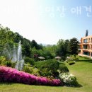 포천새벽종수영장애견계곡펜션