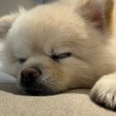 능률주니어랩영어학원 | 능률주니어랩 옥계영어학원: 초등 영어 문법 공부