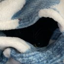 해맞이동물병원 이미지