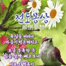 암소한마리 이미지