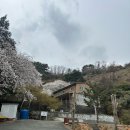 산복로 네이버블로그
