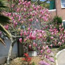 정문 앞 이미지