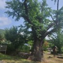 한음마을 이미지