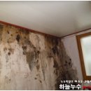 남초등학교후문 이미지