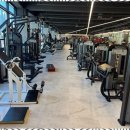 드래곤짐 이미지