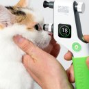 예산 동물병원 이미지