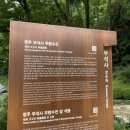 영주농협부석하나로마트 | / 단양과 영월 사이 2박 3일 / 햇볕 속에서 초록을 다시 거머쥐고 2일차
