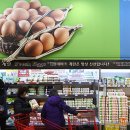 선제농장 계란