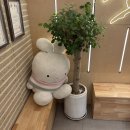 부산 중앙동 본참치 프리미엄 코스 모임장소 추천 (룸 예약, 주차팁)