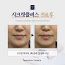 살롱인숲