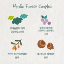 포레스트스파 이미지