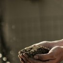agriculture (애그리칼쳐, 농업, (덩어리 흙을) 어그러(뜨려) 골랐다) 어원 이미지