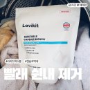 해태세탁소 | 한가인도 사용한 라비킷 에르메스세제 내돈내산 후기