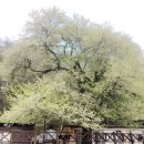 산장관광지 화장실(3) 이미지