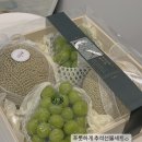 푸룻하게 이미지