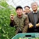 대저농협유통센터(APC) 이미지