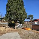 장자골낚시터 이미지