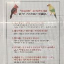 앵무새카페리프패럿분당