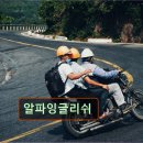 알파영어학원 | 강남 대치동 대치 영어학원 어학원 알파잉글리쉬 대치동 영어학원 알파잉글리쉬, 맞춤 수업으로 인기