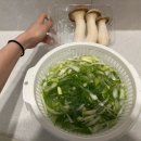 뮤트펜션 | 양평 감성숙소 독채펜션 커플여행 야외바베큐 뮤트스톤